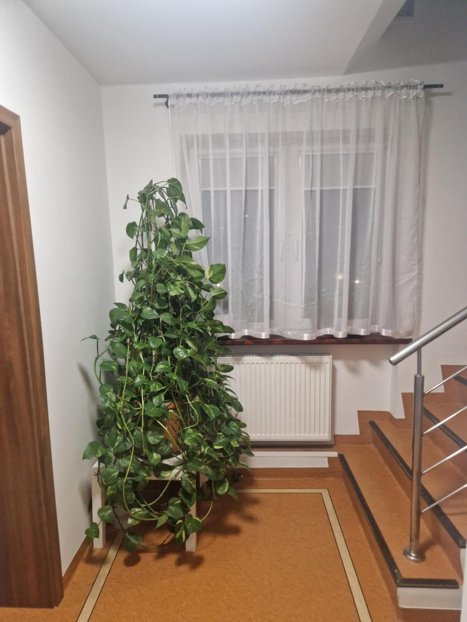 Noclegi Budomas Budget Wroclaw-Szymanow Freeparking Smarttv Ngoại thất bức ảnh